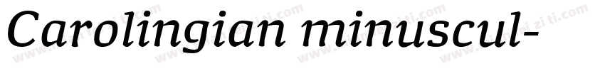 Carolingian minuscul字体转换